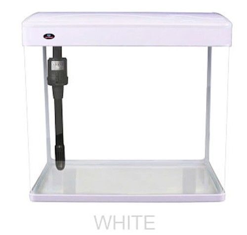 Small aquarium fish tank - aquarium,