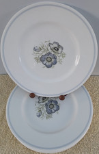 Wedgwood Susie Cooper,  Glen Mist, Set of 6 Dinner Service Plates 27.5 - Superb