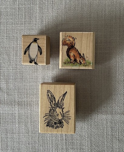 Bundle wooden backed - of,