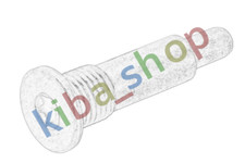 TIMING CHAIN GUIDE BOLT FITS