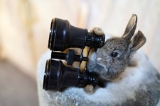 Doe & Hope X Hannah Matthews