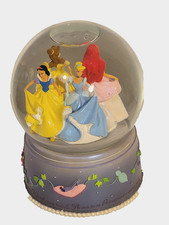 DISNEY ENCHANTED PRINCESS