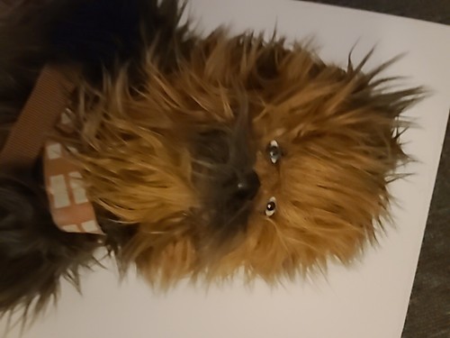 Star wars chewbacca wookie - star,