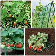 6 Pcs Plastic Plant Stand And