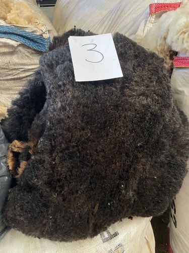 Freshly shorn fleece - freshly, black