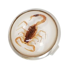 Scorpion Rings Animal Charm