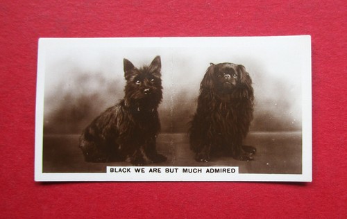 Cavanders 1936 vintage - ,