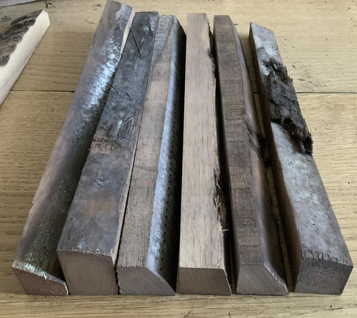 Walnut hardwood timber live - hardwood,