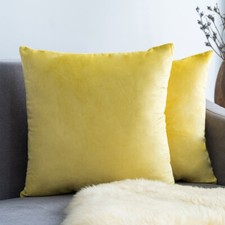 Plush Velvet Cushion Cover
