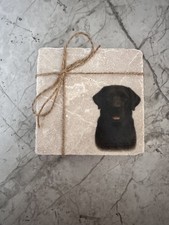 Chocolate Labrador Tumbled