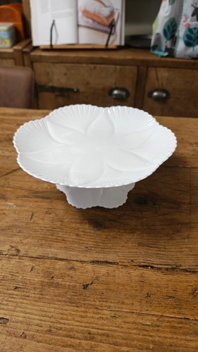 Rare shelley dainty - shelley,