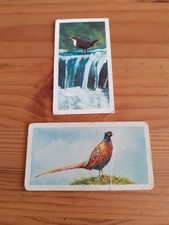 BROOKE BOND - BRITISH BIRDS -