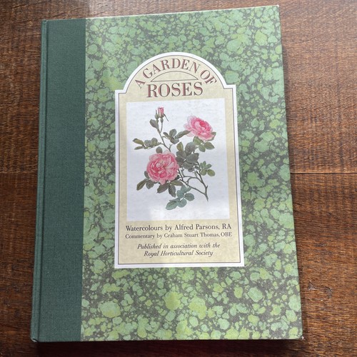 Garden roses watercolours - garden, of