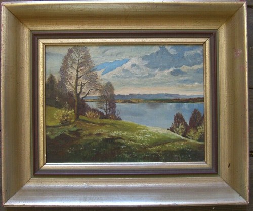 Oil painting lake - oil, shore