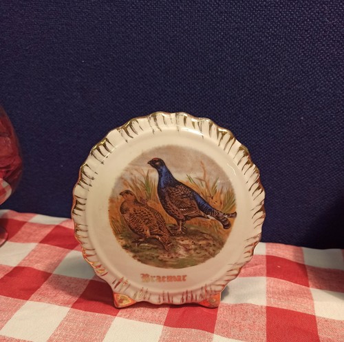 Bone china decorative - bone,