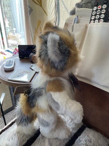 Charlie bears small plush - bears, cat