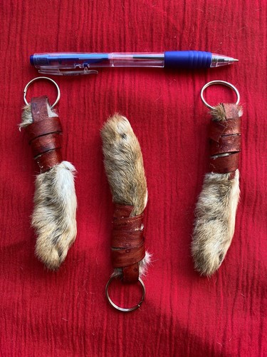 Large wild rabbit foot - a,