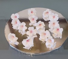 Cherry blossom wedding - blossom,