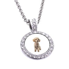 Miniature Poodle Dog Silver