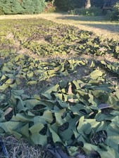 NEW Genuine British Army