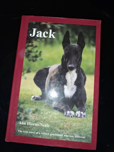 Retired greyhound story - greyhound,