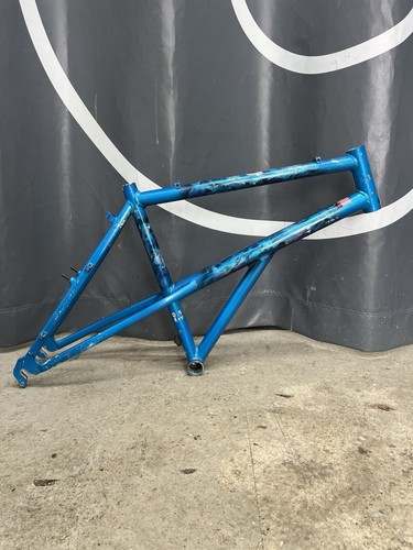 Minerva retro mtb raised - minerva(?),