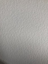 Showerwall 2440 X 585 mm T & G