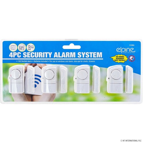 Window door burglar - door,