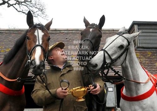 Gold cup kauto star denman - cup,