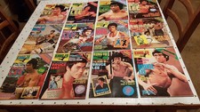 BRUCE LEE KUNG FU MONTHLY 49