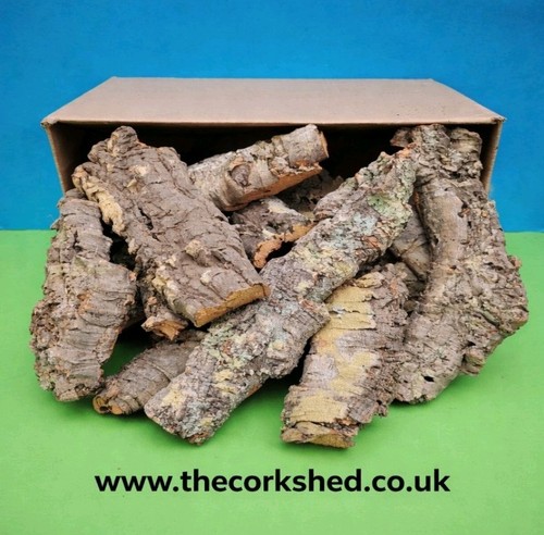 Orchid mount cork - orchid, mix
