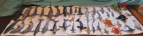Schleich ocean marine mammal - marine,