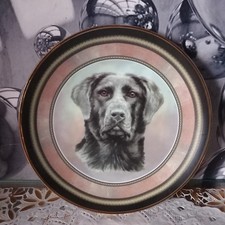 Collectible Porcelain/Ceramic