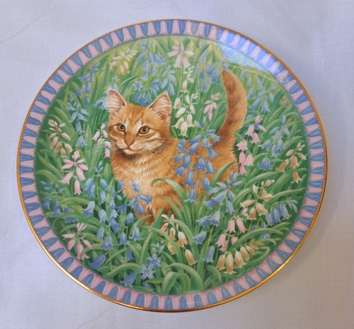 Aynsley lesley anne ivory - aynsley,