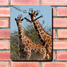 Giraffe Design Wall Clock New boxed Gift Animals Wildlife wall hanging