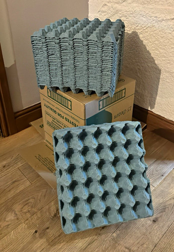 Moulded paper pulp egg - paper,