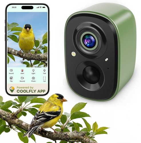 Smart bird camera - bird, uhd