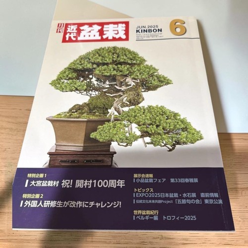 Kindai bonsai magazine june - kindai,