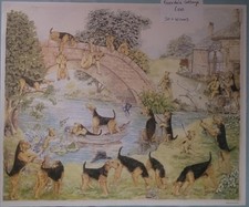 Riverdale Airedale Terrier