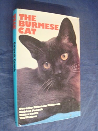 Burmese cat etc - burmese, etc.