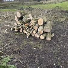 firewood logs wood log burner 