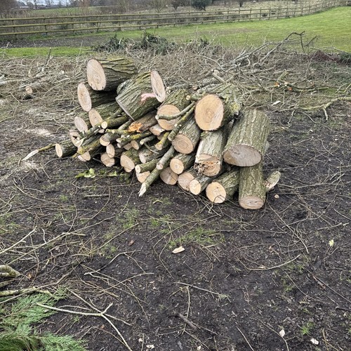 Firewood logs wood - wood, burner