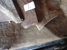 FALLOW DEER  ANTER CHEWS