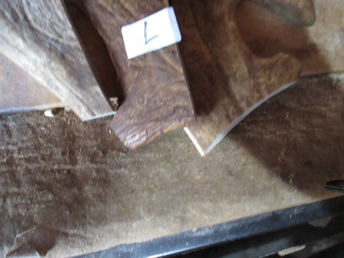 Fallow deer anter - anter, chews