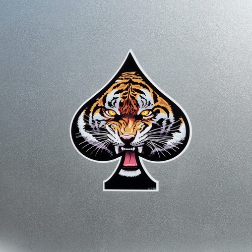 Angry bengal tiger ace - bengal, of