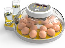 Egg Incubator with Automatic