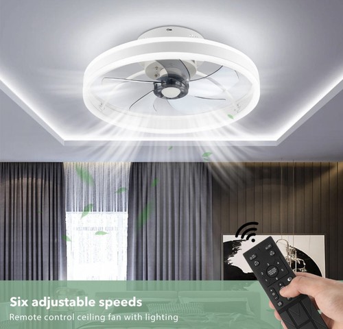 Led modern ceiling fan light - fan,