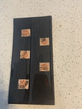 Queen victoria orange - 5,