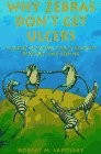 Why zebras don get - why, don't