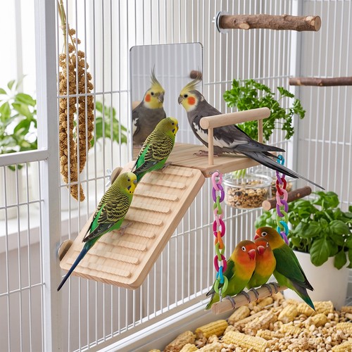 Wooden parrot play - parrot, stand